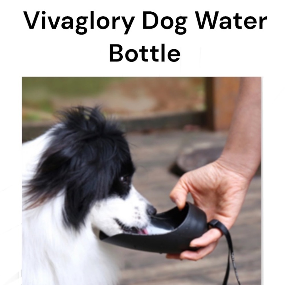 NWT Vivaglory Dog Water Bottle & Black Neoprene Carrier Set